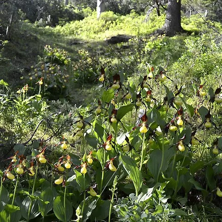 Familie Pfefferkorn Appartement
