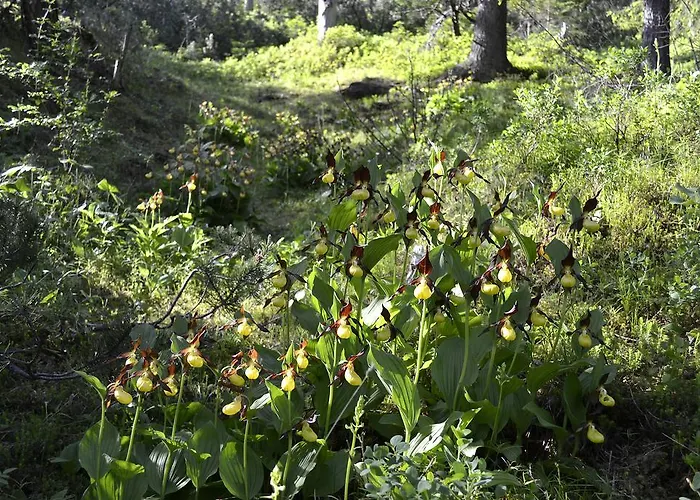 Familie Pfefferkorn Διαμέρισμα